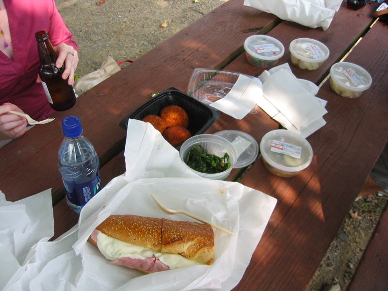 An Early Break-fast at Smith Clove Park